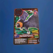 Animal kaiser grey headed - animal,