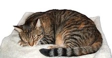 Cat Blanket Self Heating Pet
