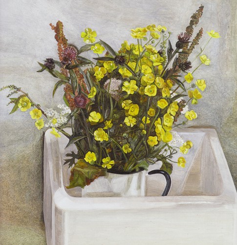 Buttercups sink lucian - a,
