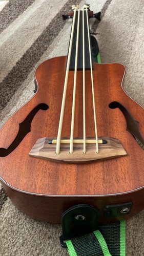 Batking hole fretless bass - batking,