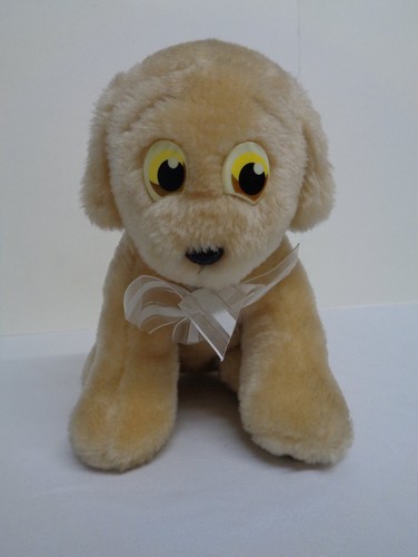 The andrex puppy dog - the,