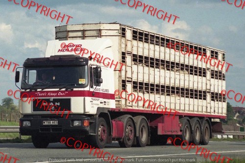 Truck photo david holmes - truck,