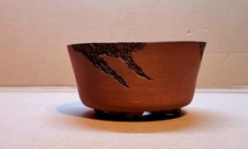 🌿 Rustic dragon-edge
