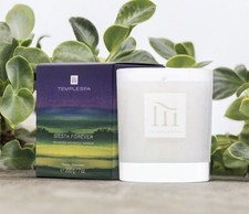 Scented Candle Temple Spa