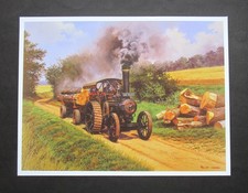 9.10" x  6.90"  MALCOLM ROOT