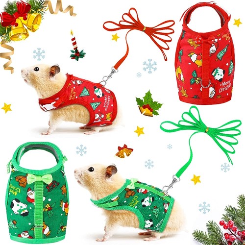 Ferret harness leash set - harness,