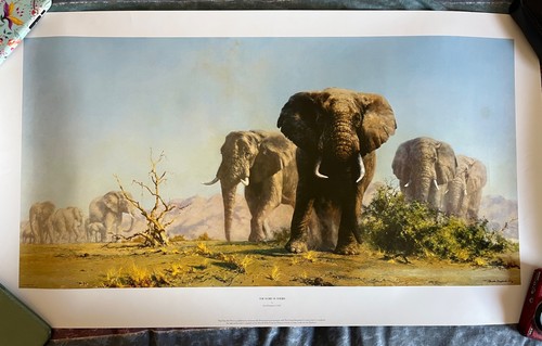 The ivory theirs david - is, by
