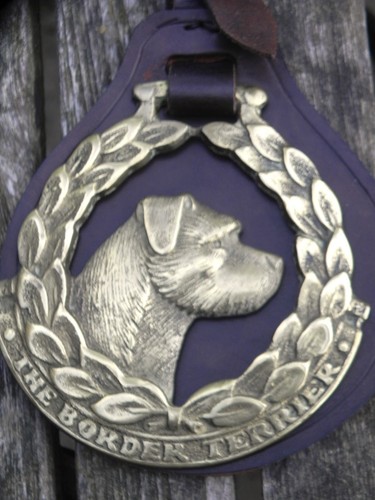 The border terrier horse brass - border,