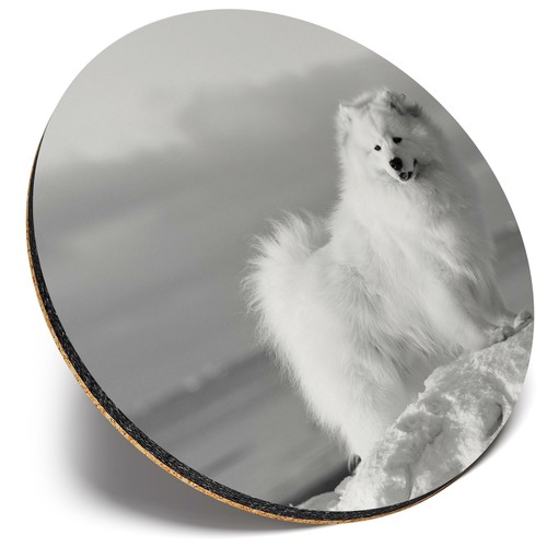 Round single coaster - single,