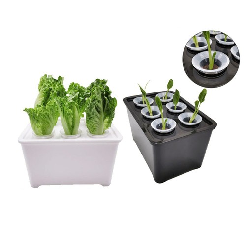 Small grow box kit with - kit, cups