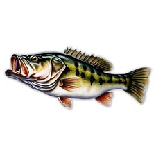 Largemouth Bass Sticker