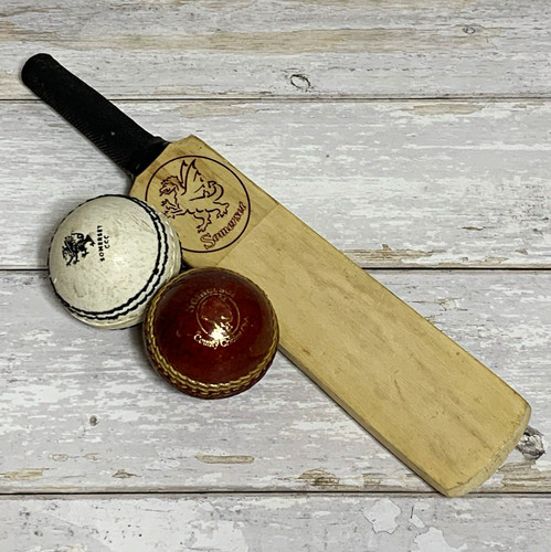 Somerset mini cricket - cricket, 2x