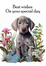 WEIMARANER PUP & FLOWERS GREAT
