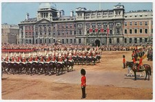 Trooping The Colour Horse