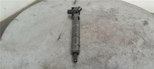 A6510704987 injector 1014238