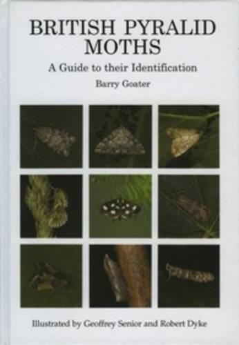 British pyralid moths guide - pyralid, moths: