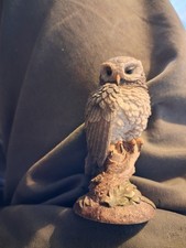 Royal Doulton Owls X 5