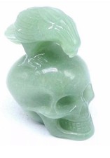 Hand Carved - Bird Skull -