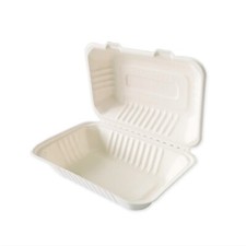 Disposable Sugarcane Bagasse