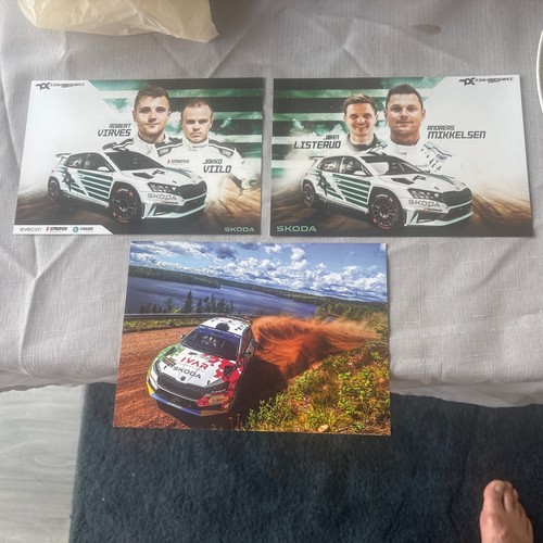 Skoda wrc erc - 15,