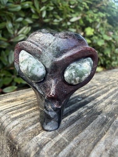 Garnet astrophyllite alien - garnet,