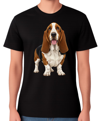 Cute basset hound dog - cute,