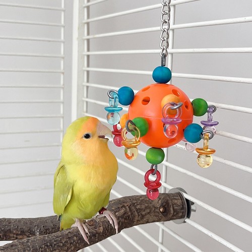 Colorful parrot plastic climb - parrot,
