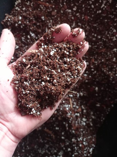 Tropical potting soil - 2,