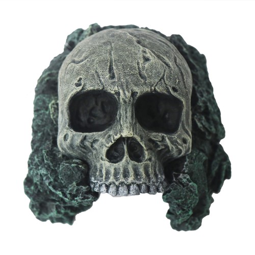 Betta skull cave spooky - skull,