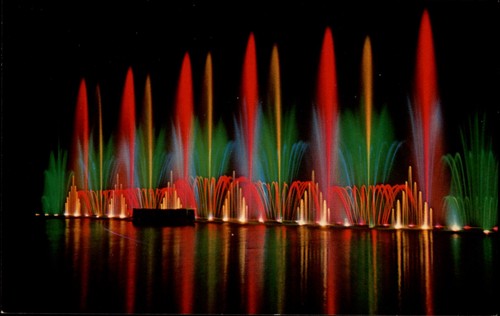 Cape coral florida waltzing - cape,