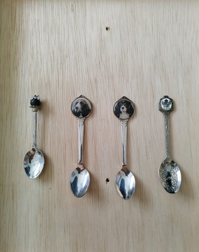 Silver plated sovereign spoons - sovereign,