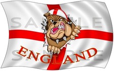  Rip Open Torn St George Bull