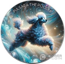 PULSARA THE POODLE Nebula Dogs