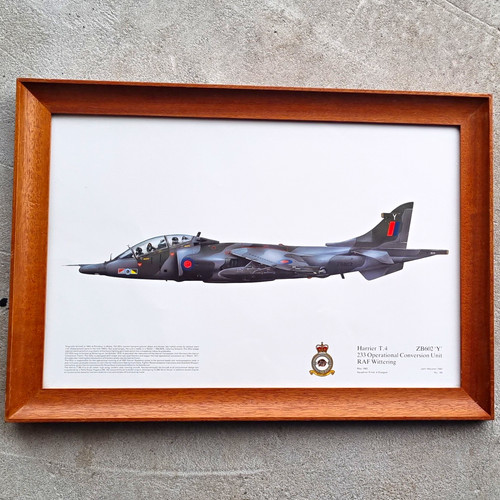 Raf harrier zb602 y - raf, t.4