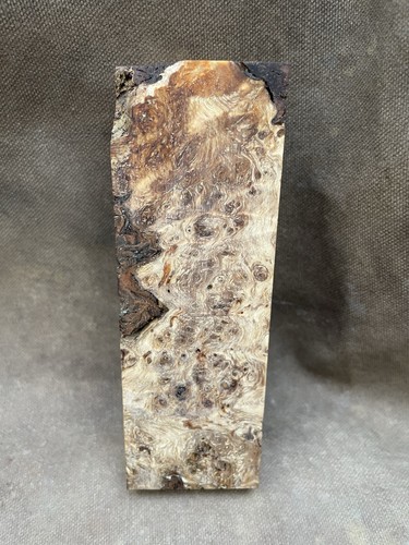 Stabilised wood alder - stabilised,
