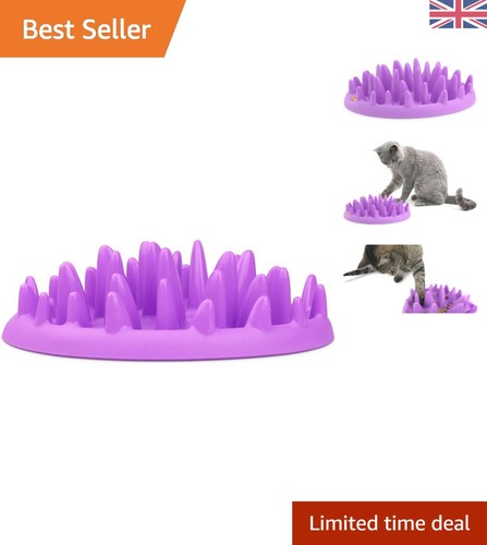 Mental stimulation cat slow - mental,