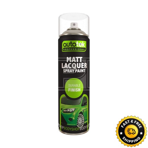 Matt lacquer spray paint fast - matt,
