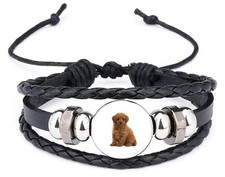 Toy Poodle Dog Pet Family