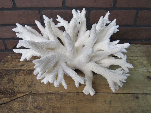 Huge genuine snowflake - genuine,