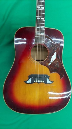 Gibson acoustic guitar dove - acoustic,