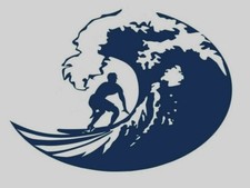 medium 11" surf surfs up car