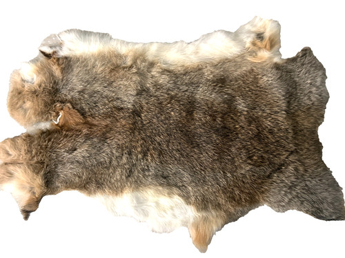 Real rabbit skin pelt - pelt, fur