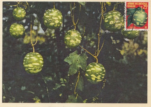 French colonies senegal post - french,