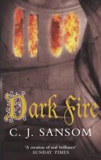 Dark Fire (The Shardlake