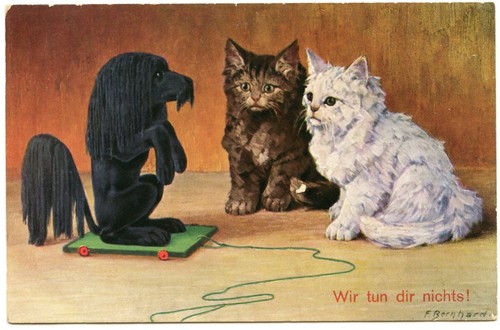 Illustrator bernhard - f.,