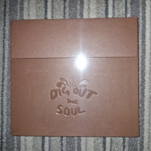 Oasis dig out your - dig,