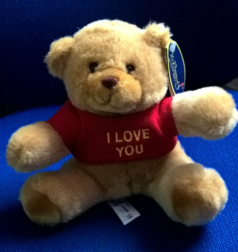 New valentines bear - new,