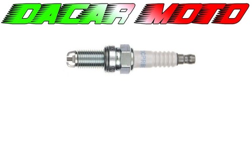 Ngk dcpr8ekc candle for - dcpr8ekc,