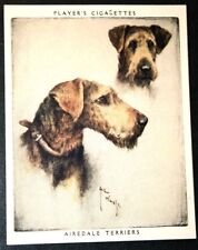 AIREDALE TERRIER  Vintage  Dog Portrait Card  JE23M