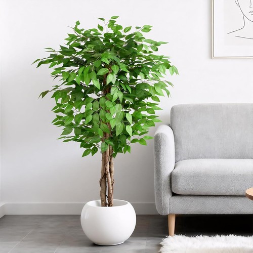 5ft ficus artificial trees - artificial,